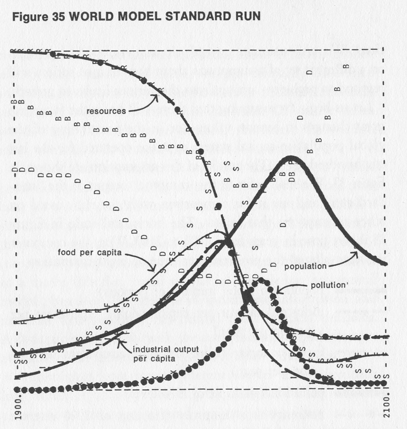 Results of the 'standard run' of the World3 model.