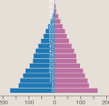 The population pyramid, sadly without animation or interaction.