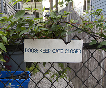 Dogs: Keep Gate Closed