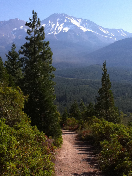 Mt. Shasta, from a nearby hilltop owned by Coca Cola