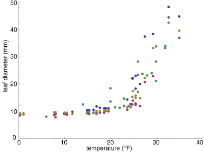 rhododendron leaf diameter as a function of temperature