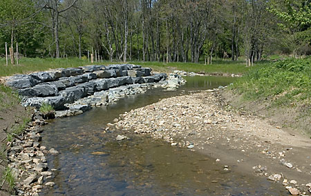 Watts Branch stream, Rockville, MD