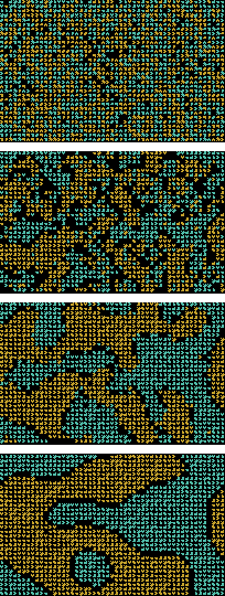 Thomas Schelling segregation model